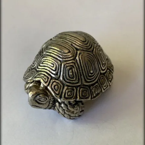 Pastillero Tortuga