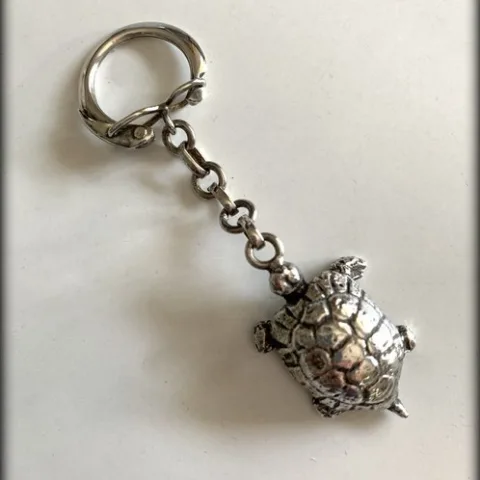 Llavero Tortuga de Plata 925º
